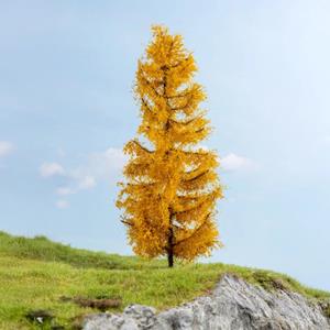 Noch Lärche herbstlich (1).jpg